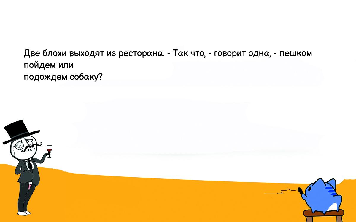 Анекдоты, шутки, приколы. <br />
Две блохи выходят из ресторана. - Так что, - говорит одна, - пешком <br />
пойдем или<br />
подождем собаку? 